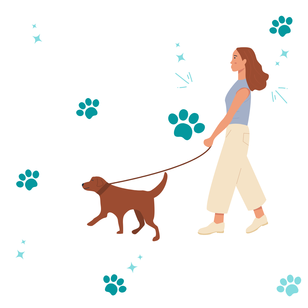 L'importance de promener son chien