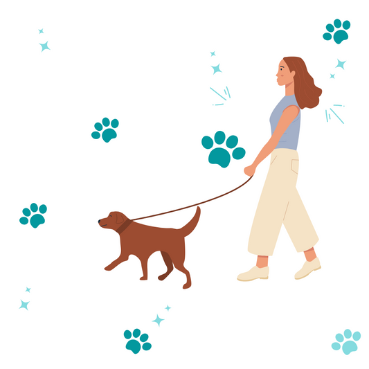 L'importance de promener son chien