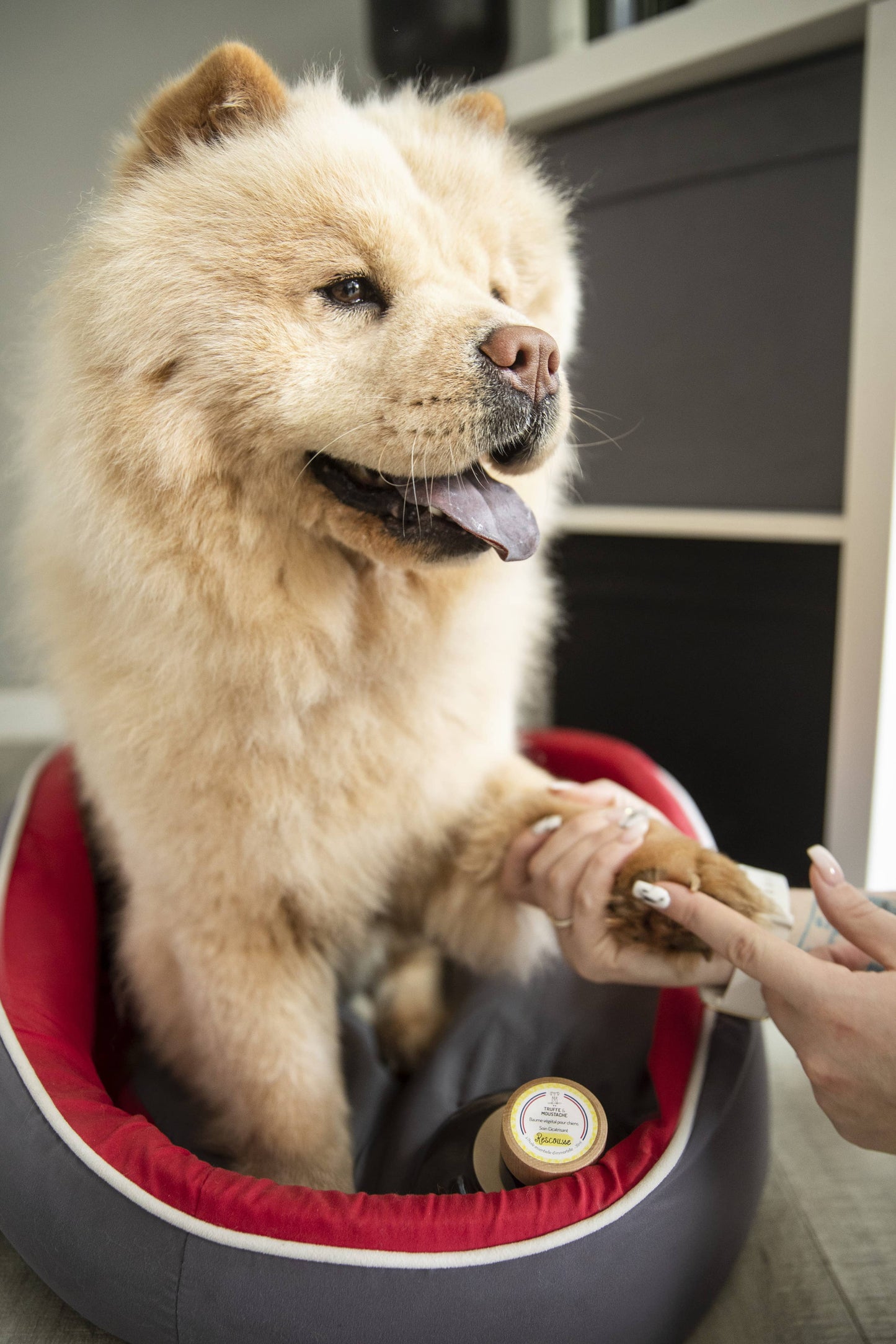 Baume de Soin Cicatrisant pour chien, "Rescousse"