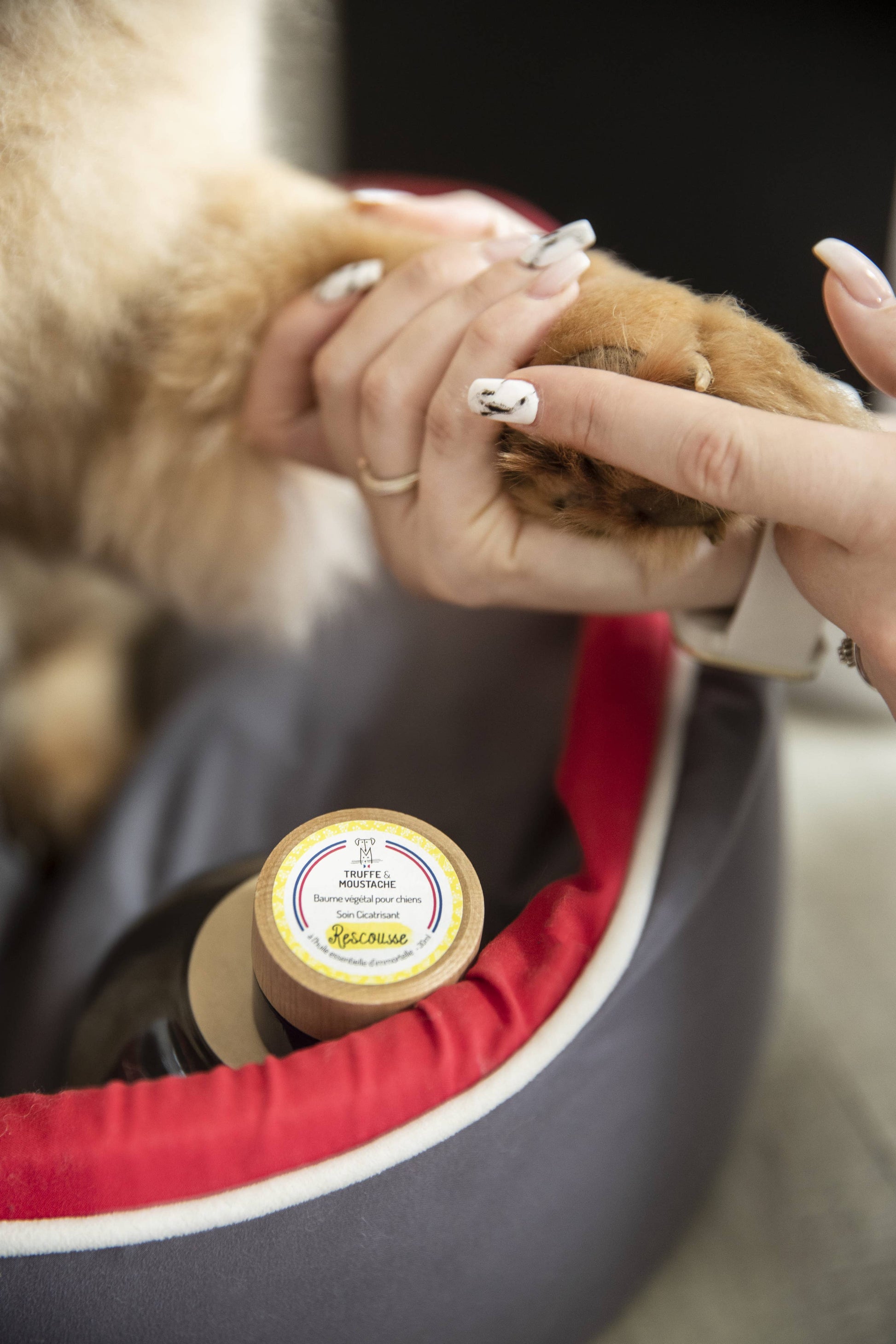 Baume de Soin Cicatrisant pour chien, "Rescousse"