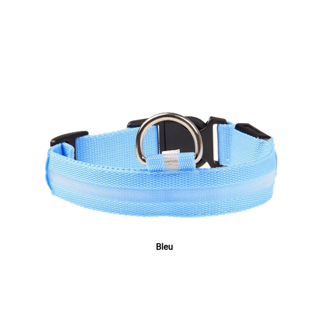Bleu / S Collier ajustable fluorescent rechargeable USB