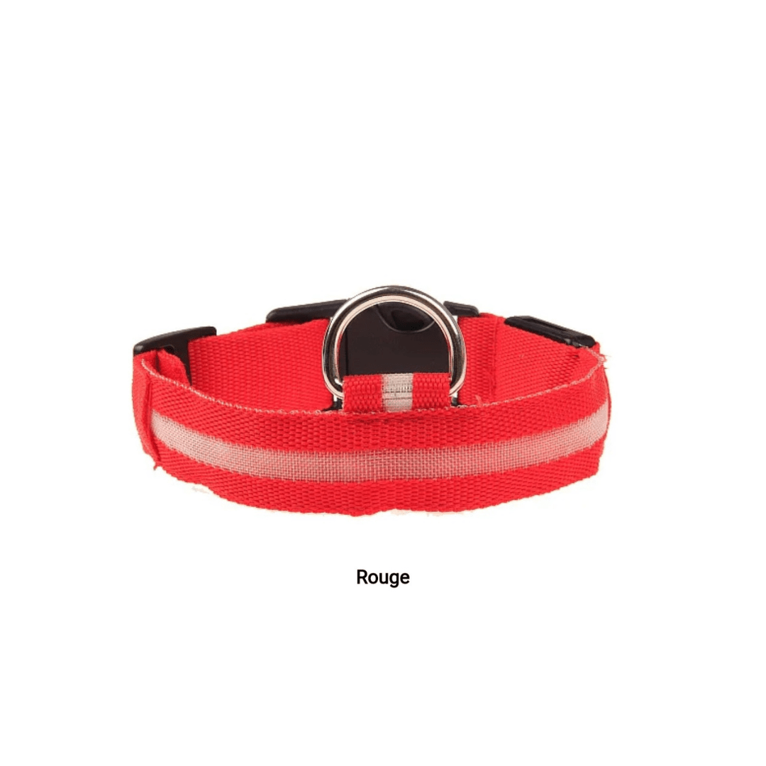 Rouge / S Collier ajustable fluorescent rechargeable USB