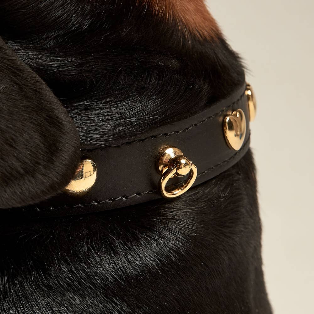 Harnais-colliers-laisses Collier noir avec clous coeur
