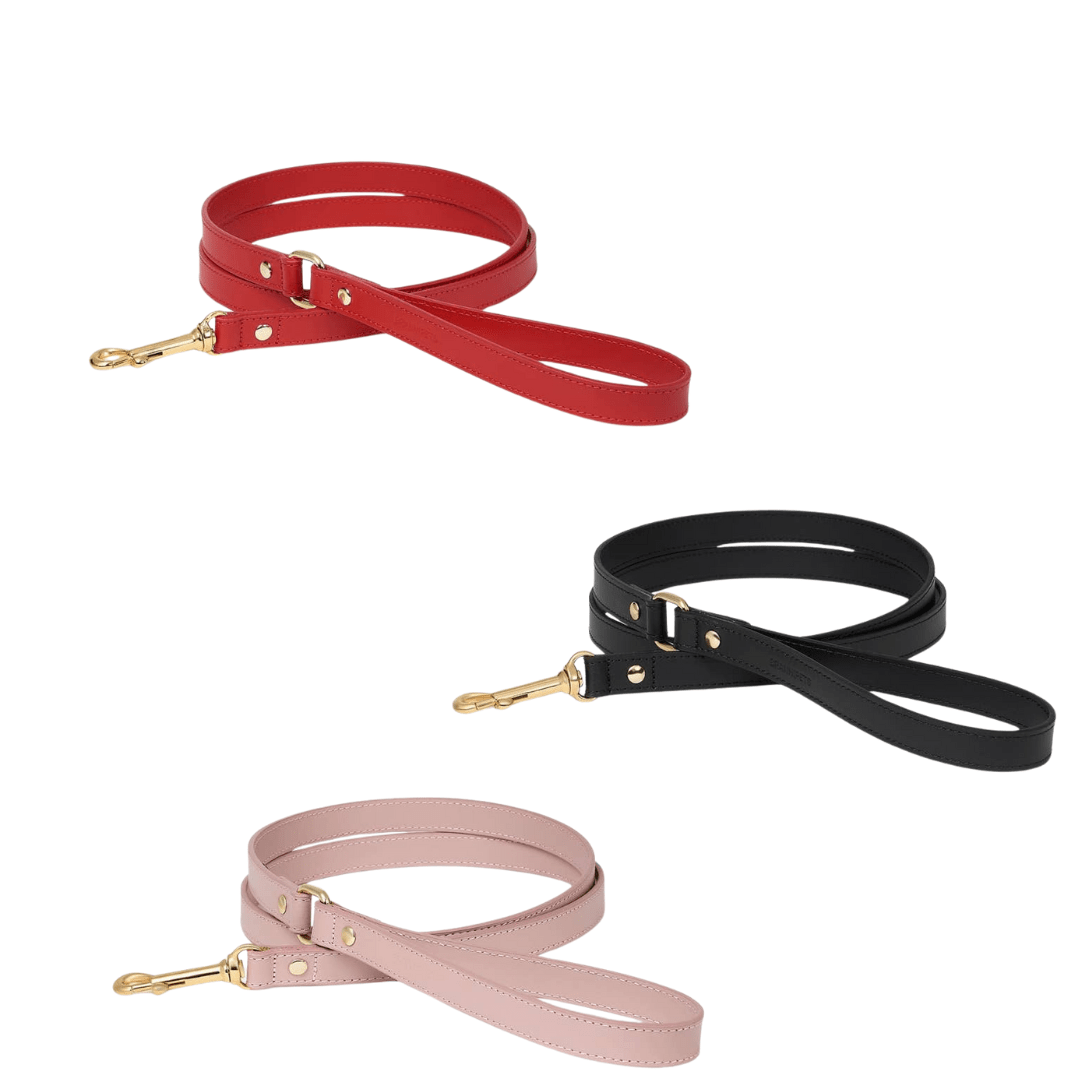 Corréa Nara - 3 coloris