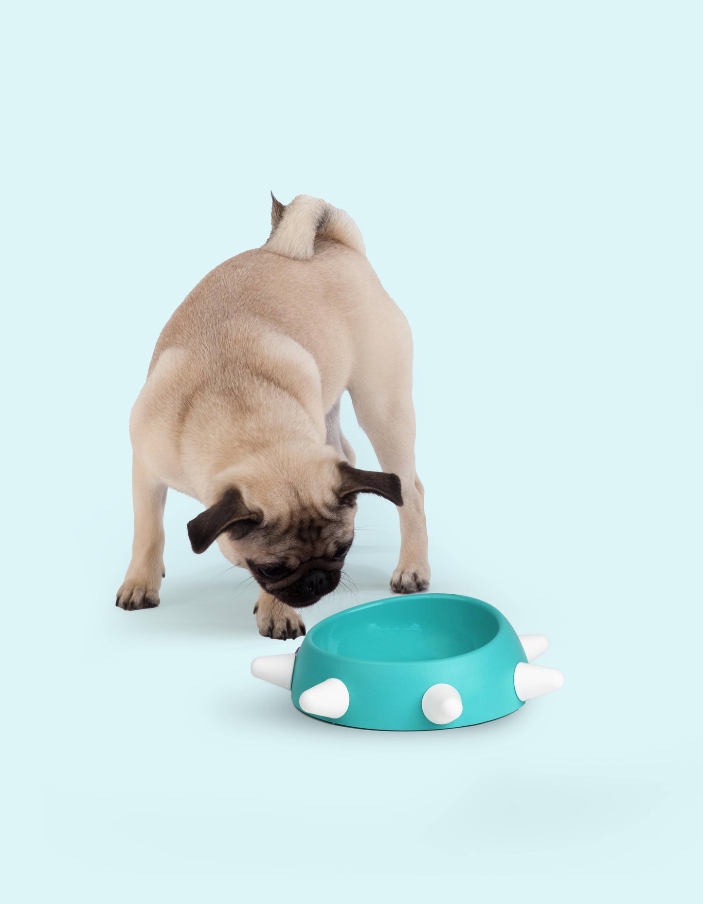 Harnais-colliers-laisses Gamelle inclinée écologique pour chiens - Fabriquée en Italie