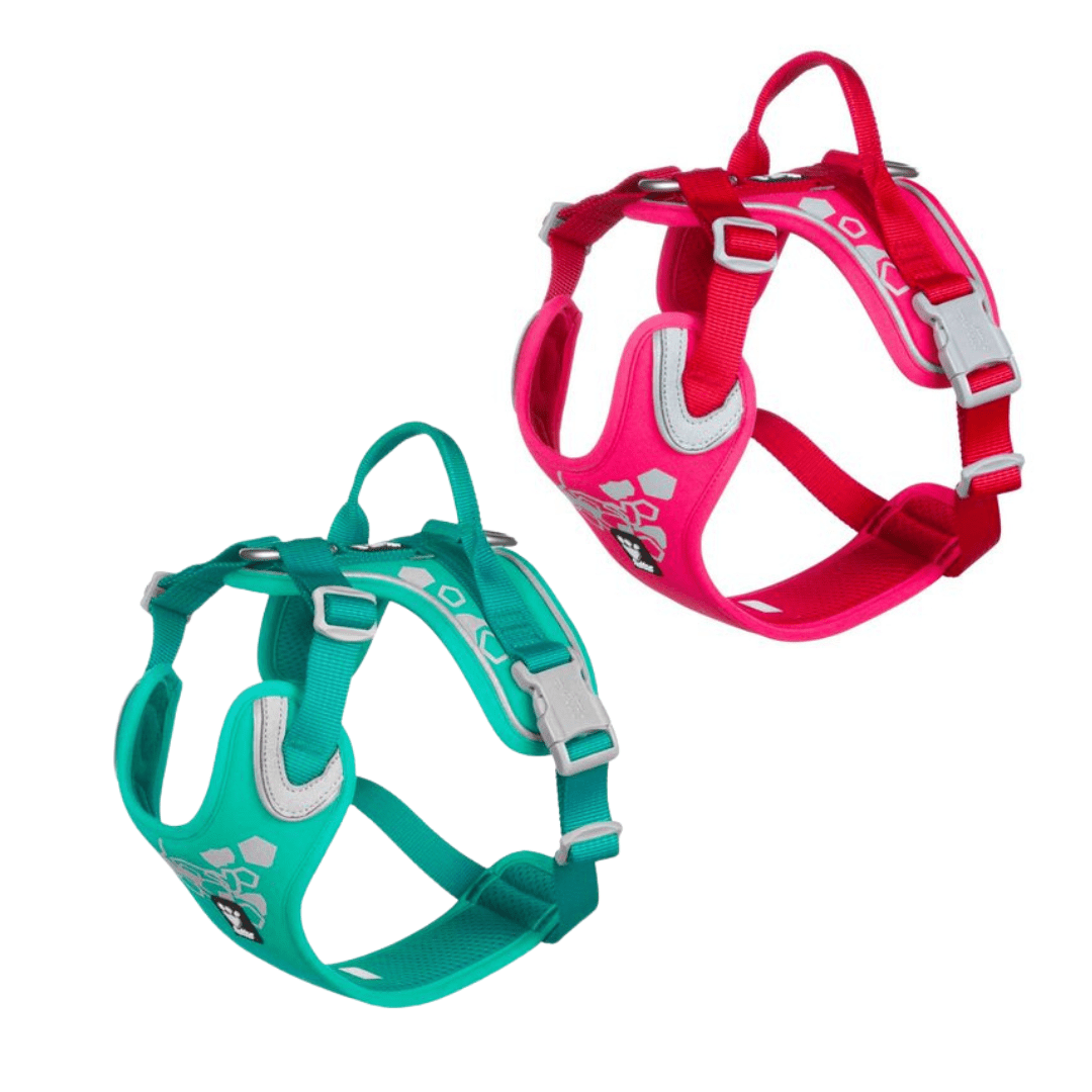 Harnais en Y ergonomique respirant pour chien 2 coloris