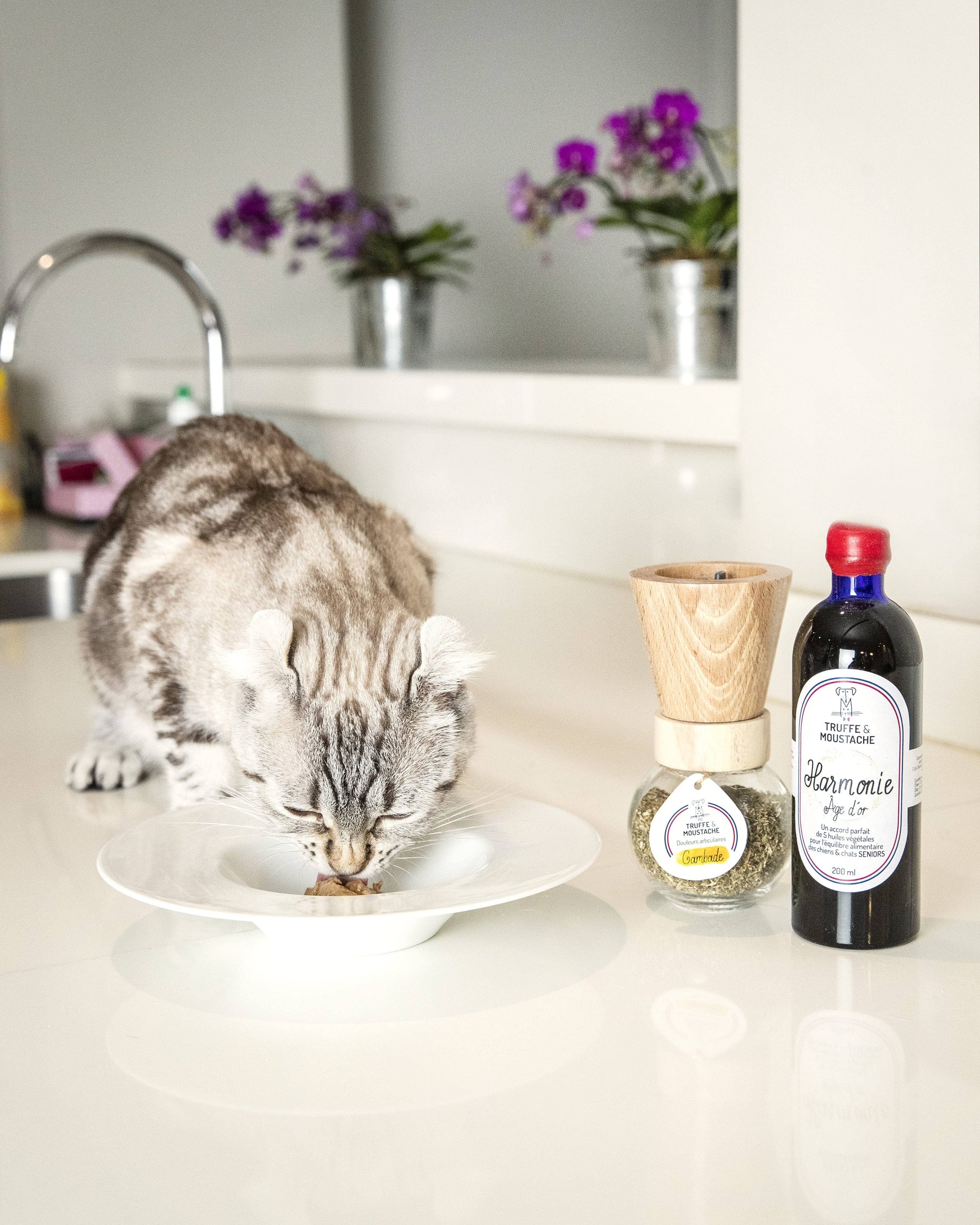 Huile Végétale pour Senior, "Harmonie Âge d'Or"