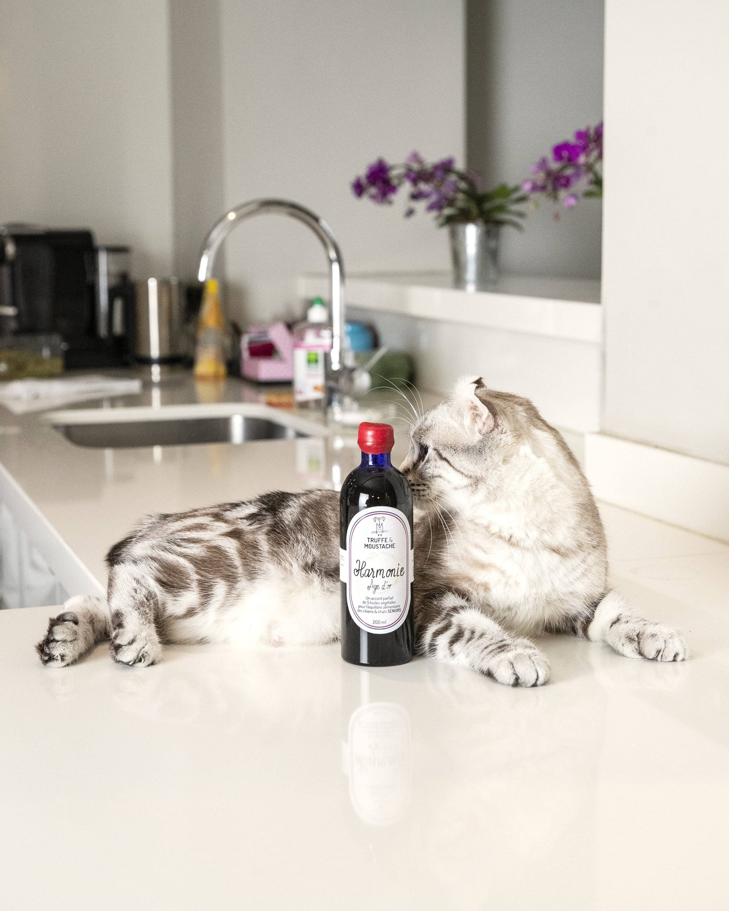 Huile Végétale pour Senior, "Harmonie Âge d'Or"