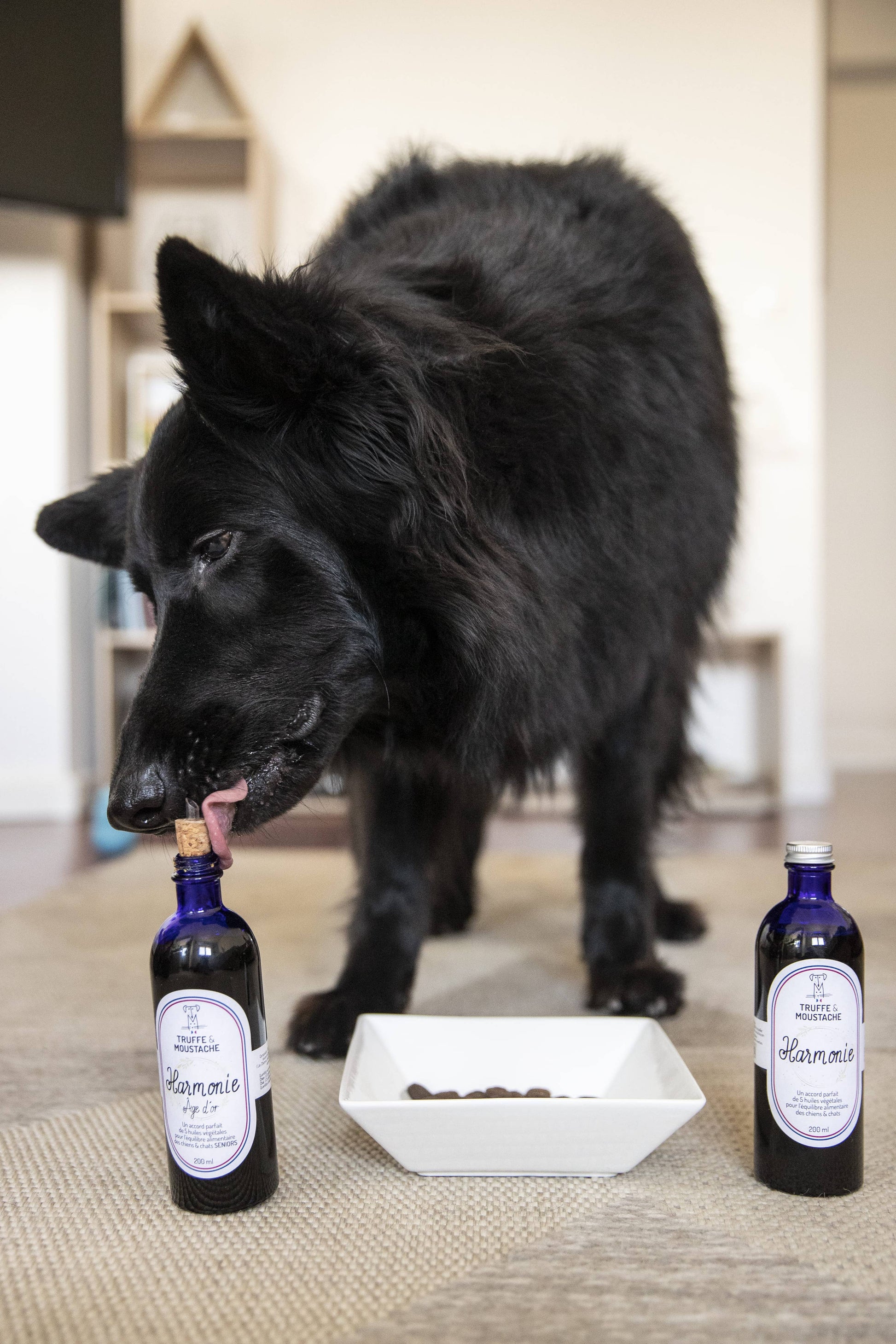 Huile Végétale pour Senior, "Harmonie Âge d'Or"