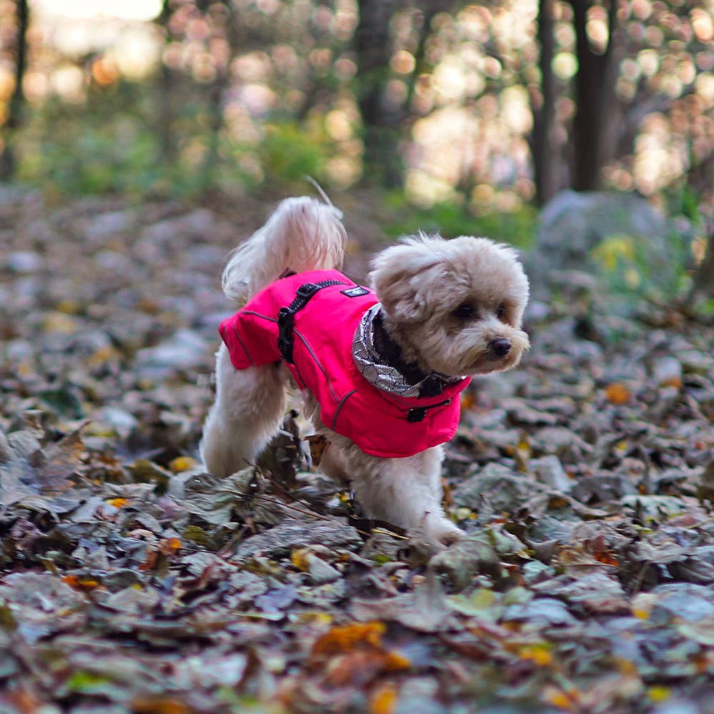Imperméable pour chien - Hiking Annapurna - Crosses