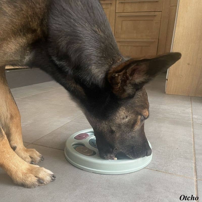 Jouet d'intelligence Niveau 2