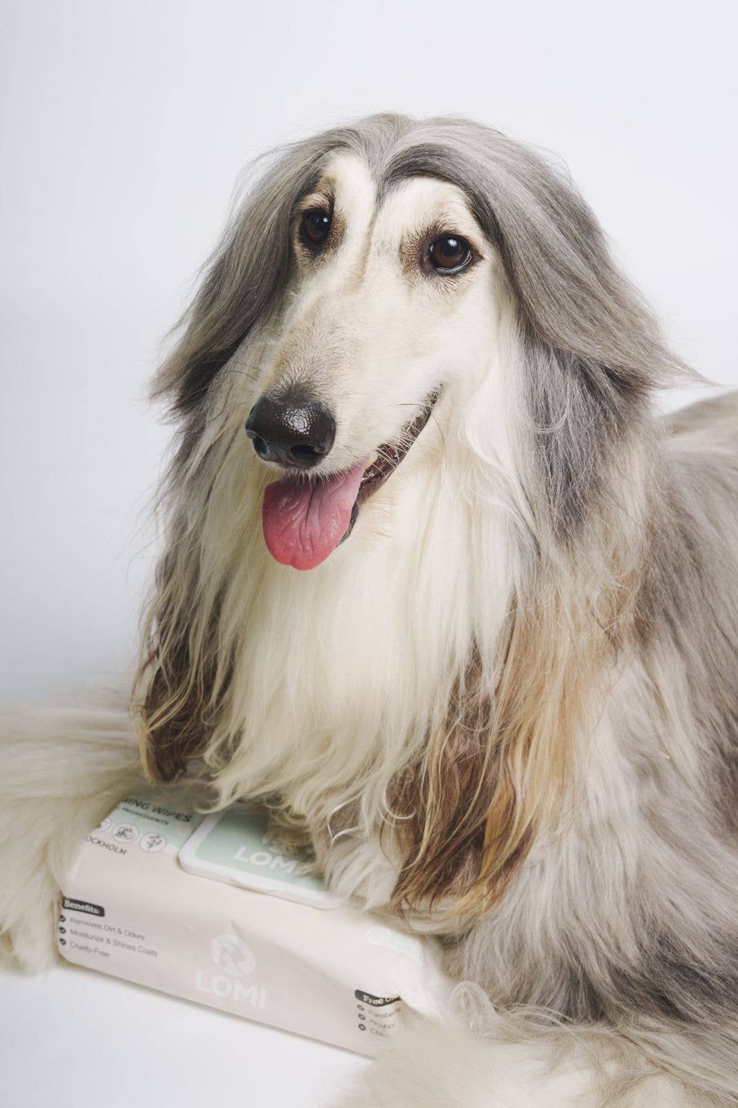 LINGETTES HUMIDES COMPOSTABLES DE QUALITÉ SUPÉRIEURE POUR CHIENS ET CHATS