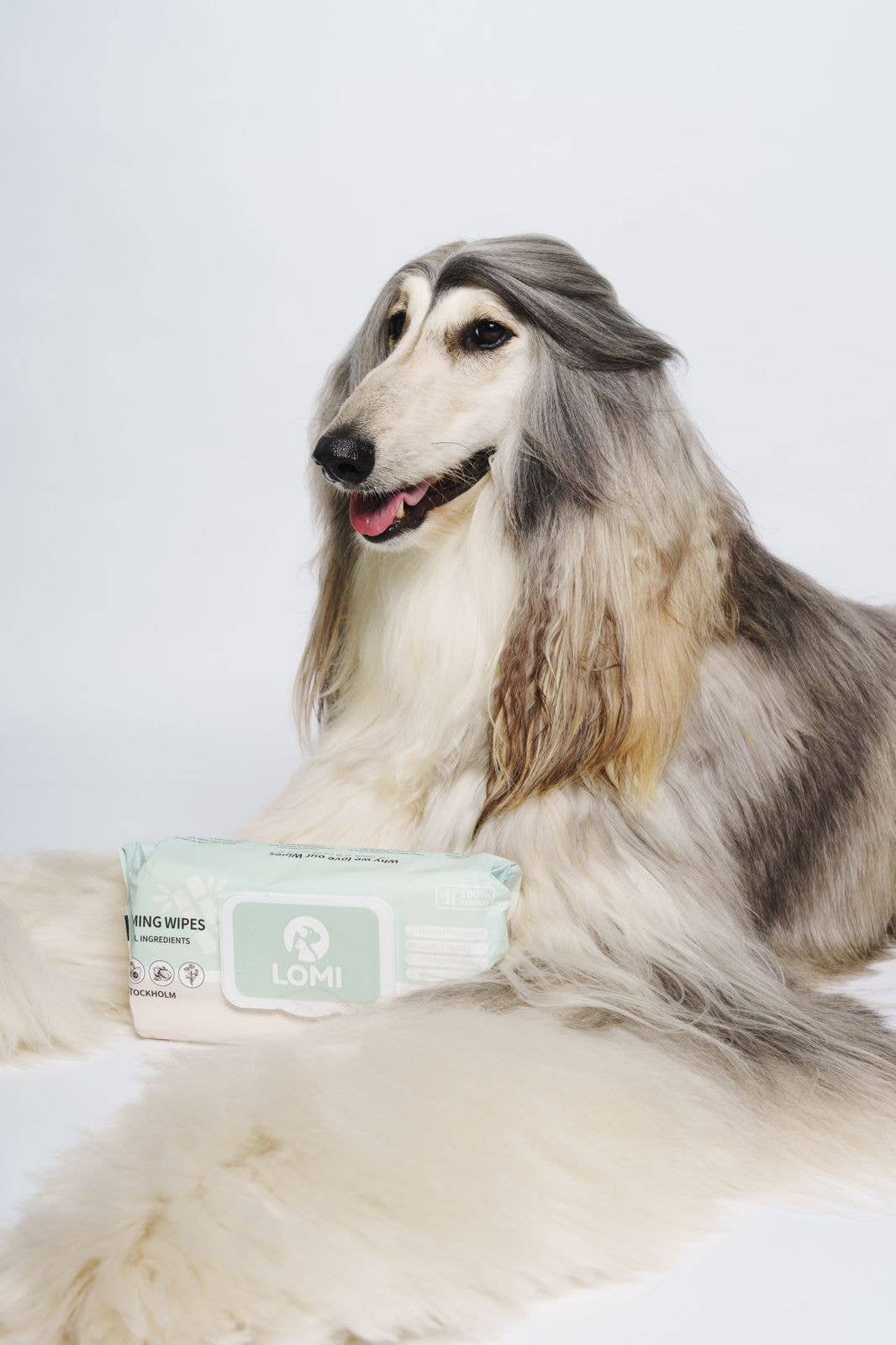 LINGETTES HUMIDES COMPOSTABLES DE QUALITÉ SUPÉRIEURE POUR CHIENS ET CHATS