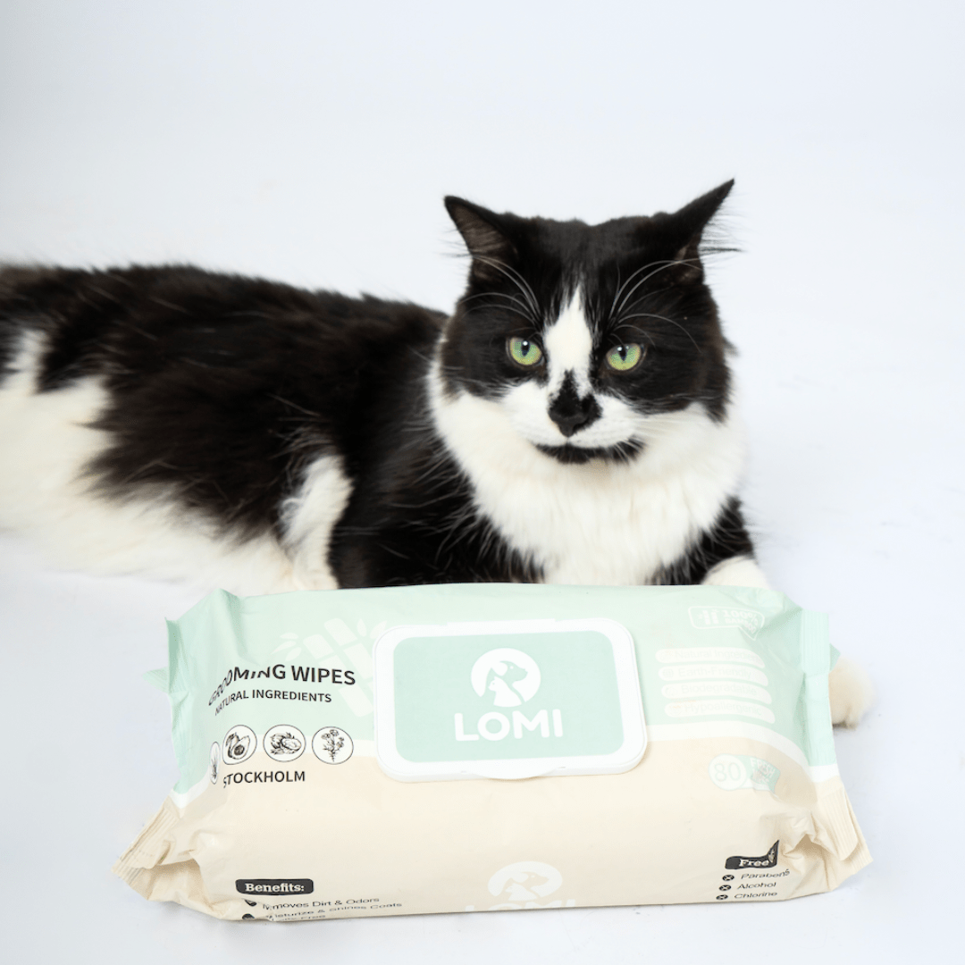 LINGETTES HUMIDES COMPOSTABLES DE QUALITÉ SUPÉRIEURE POUR CHIENS ET CHATS