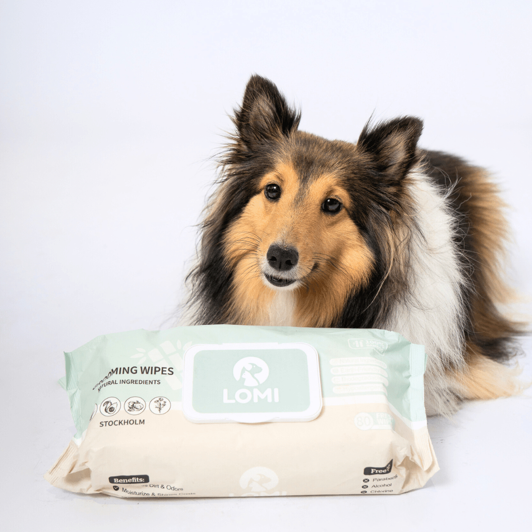 LINGETTES HUMIDES COMPOSTABLES DE QUALITÉ SUPÉRIEURE POUR CHIENS ET CHATS