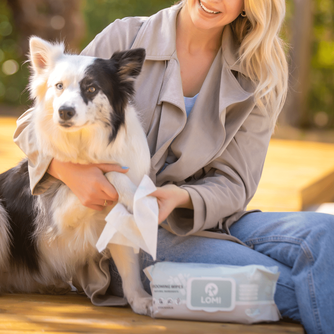 LINGETTES HUMIDES COMPOSTABLES DE QUALITÉ SUPÉRIEURE POUR CHIENS ET CHATS