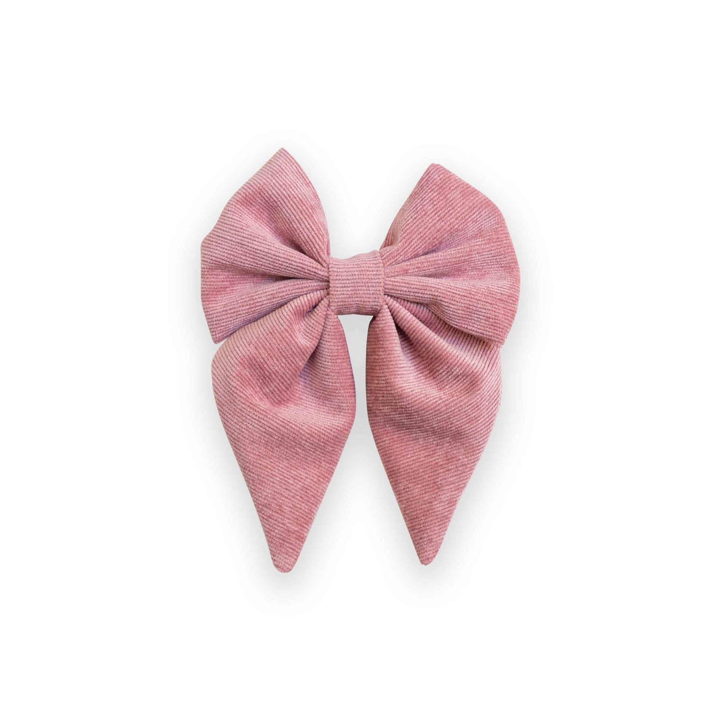 Sailor Bow rose