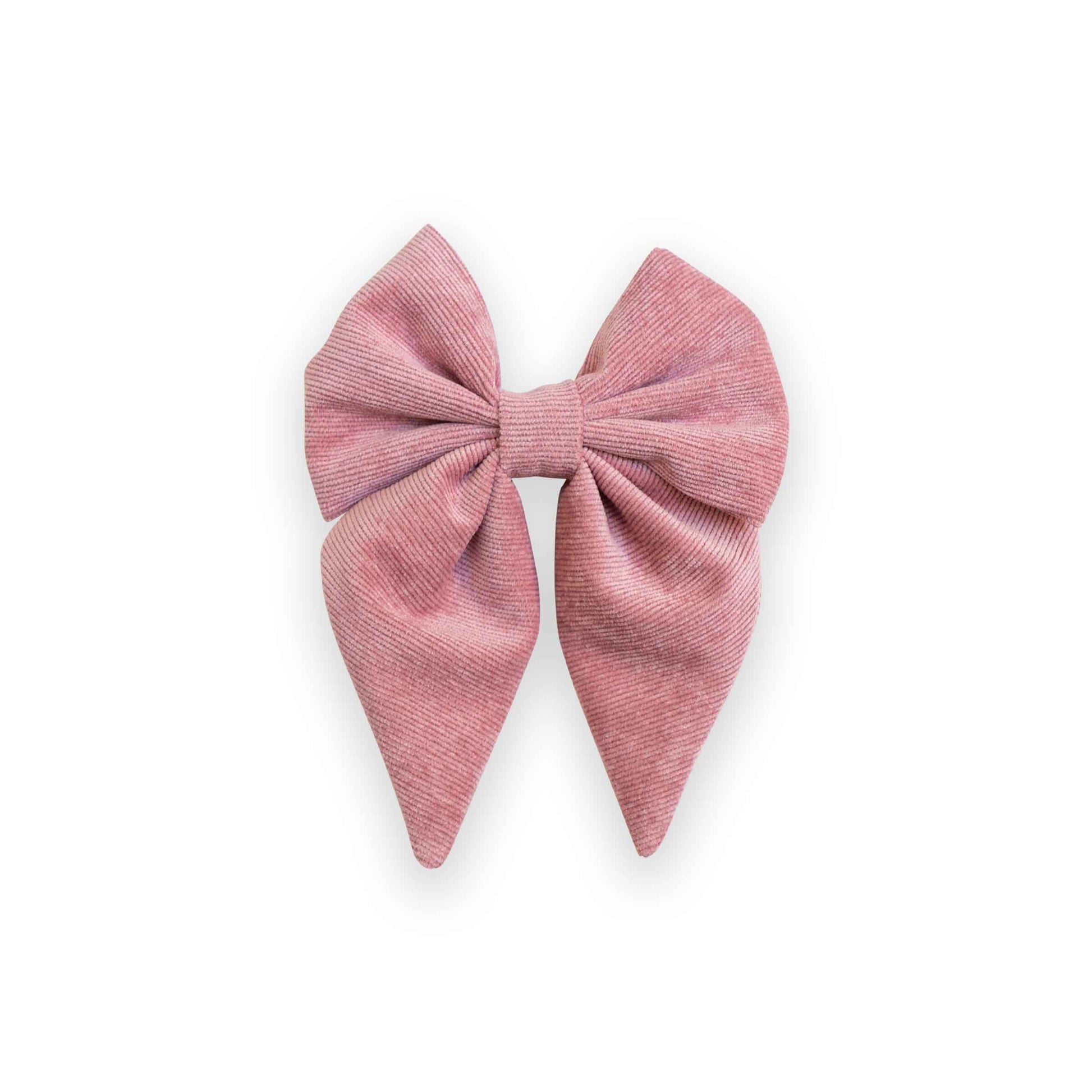 Sailor Bow rose