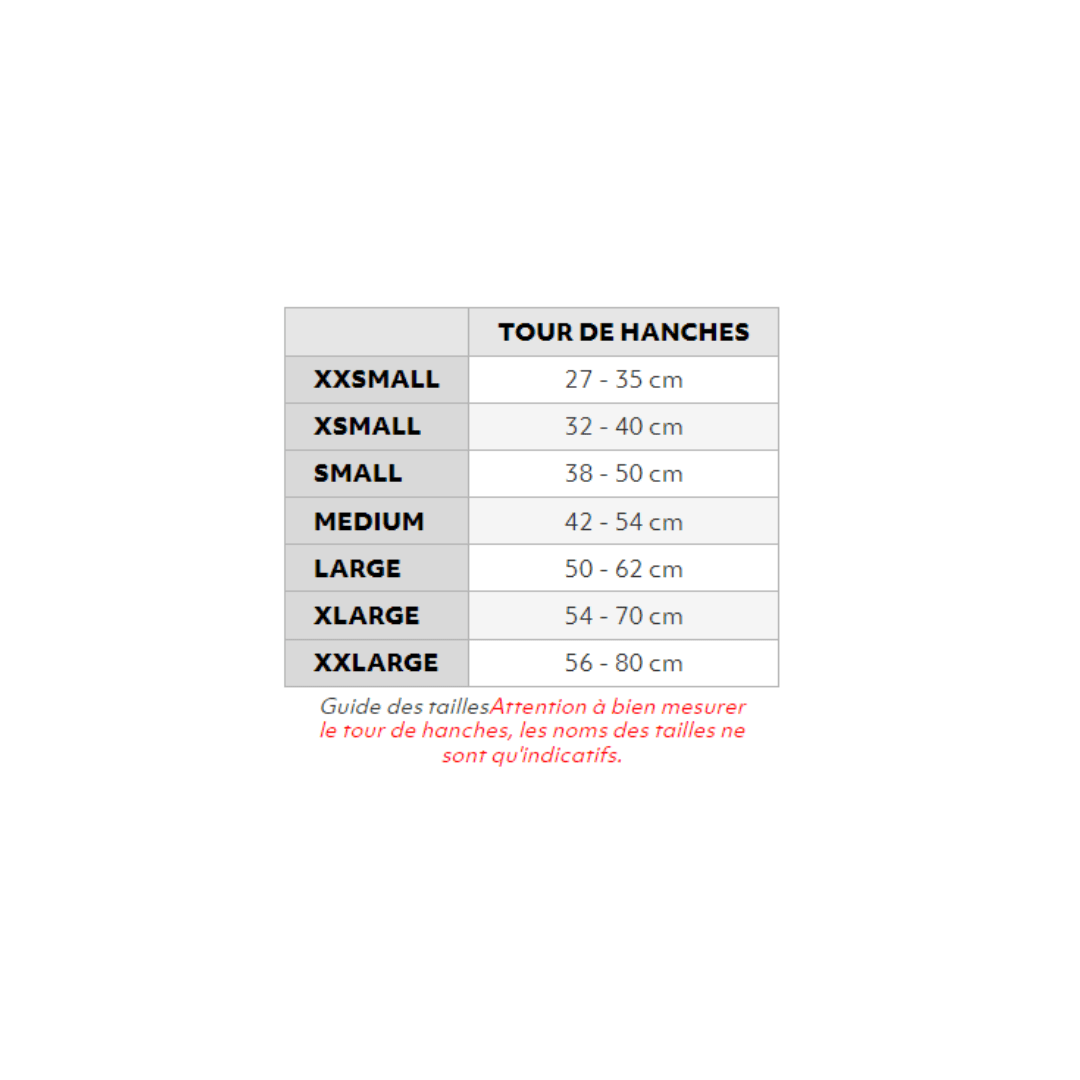 Slip hygiénique pour chiennes en chaleur ou incontinentes