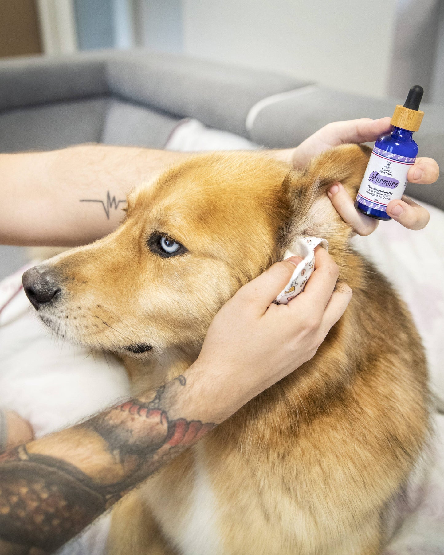 Soin Nettoyant oreilles pour chien & chat, "Murmure"