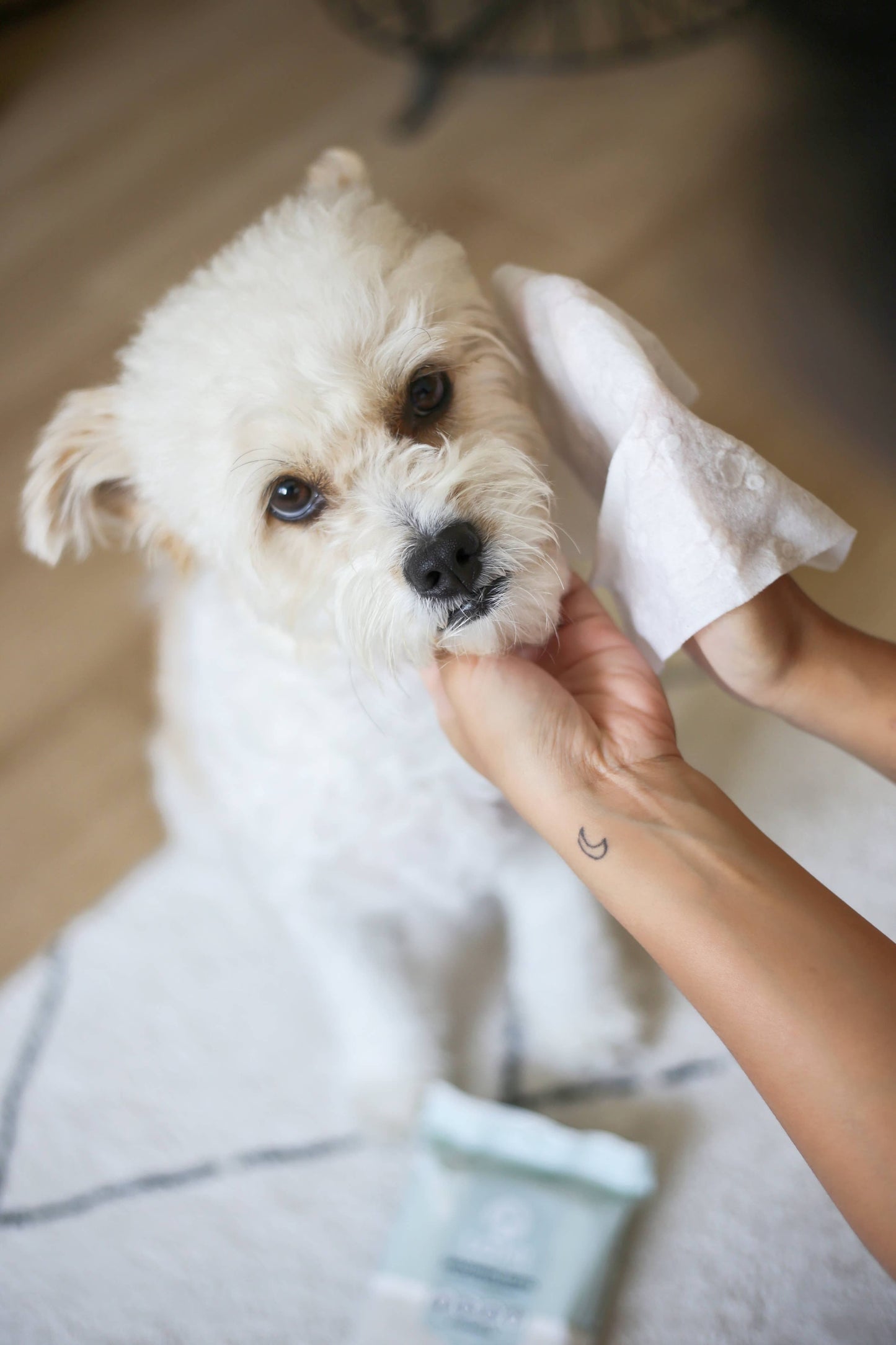 SWIPE, SHINE & GO - LINGETTES DE TOILETTAGE - PETIT FORMAT POUR TRANSPORT