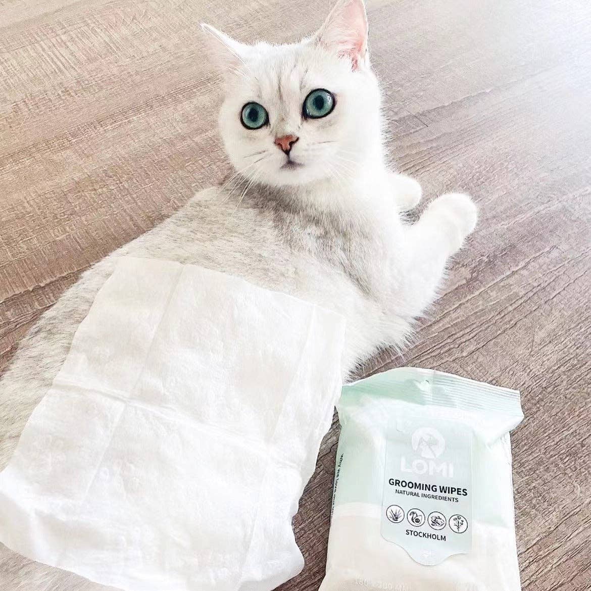 SWIPE, SHINE & GO - LINGETTES DE TOILETTAGE - PETIT FORMAT POUR TRANSPORT