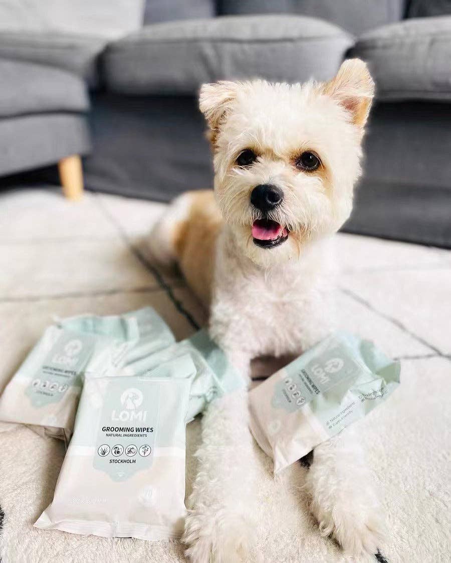 SWIPE, SHINE & GO - LINGETTES DE TOILETTAGE - PETIT FORMAT POUR TRANSPORT