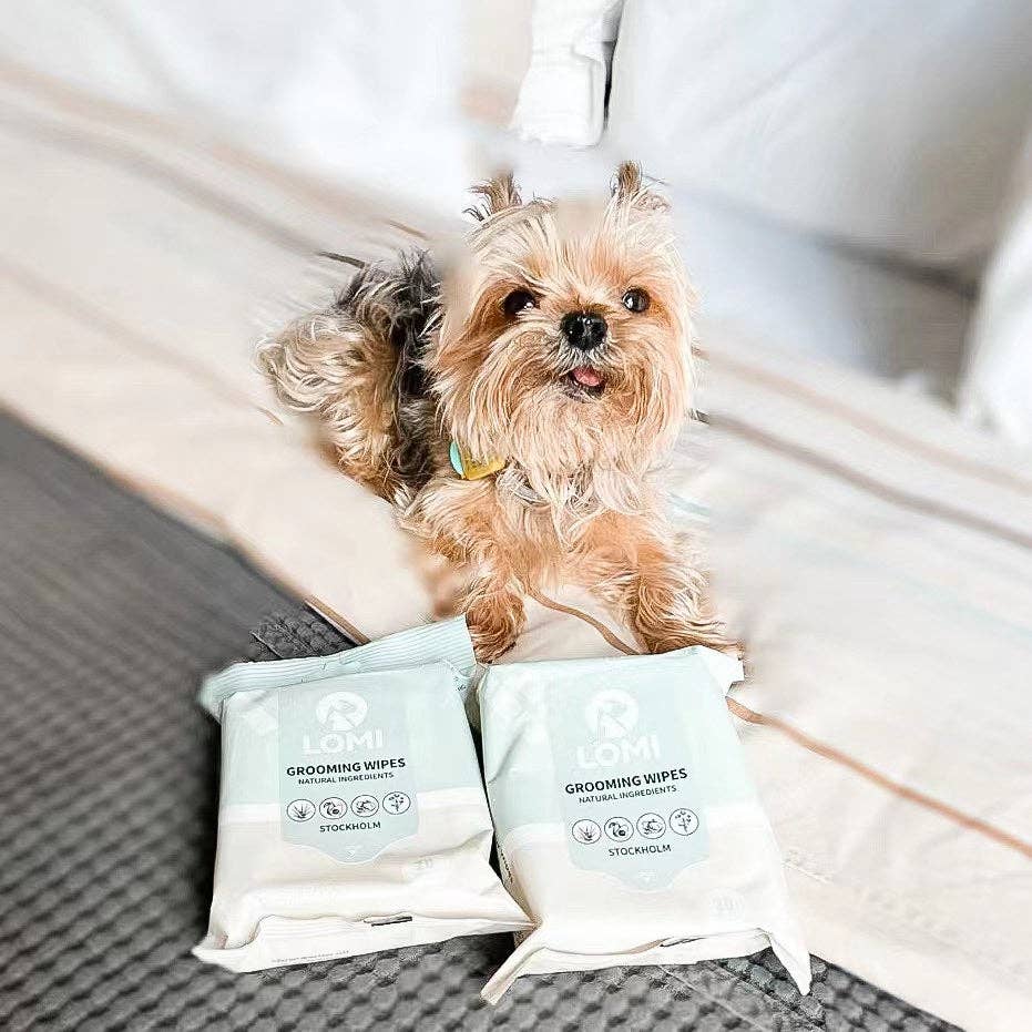 SWIPE, SHINE & GO - LINGETTES DE TOILETTAGE - PETIT FORMAT POUR TRANSPORT