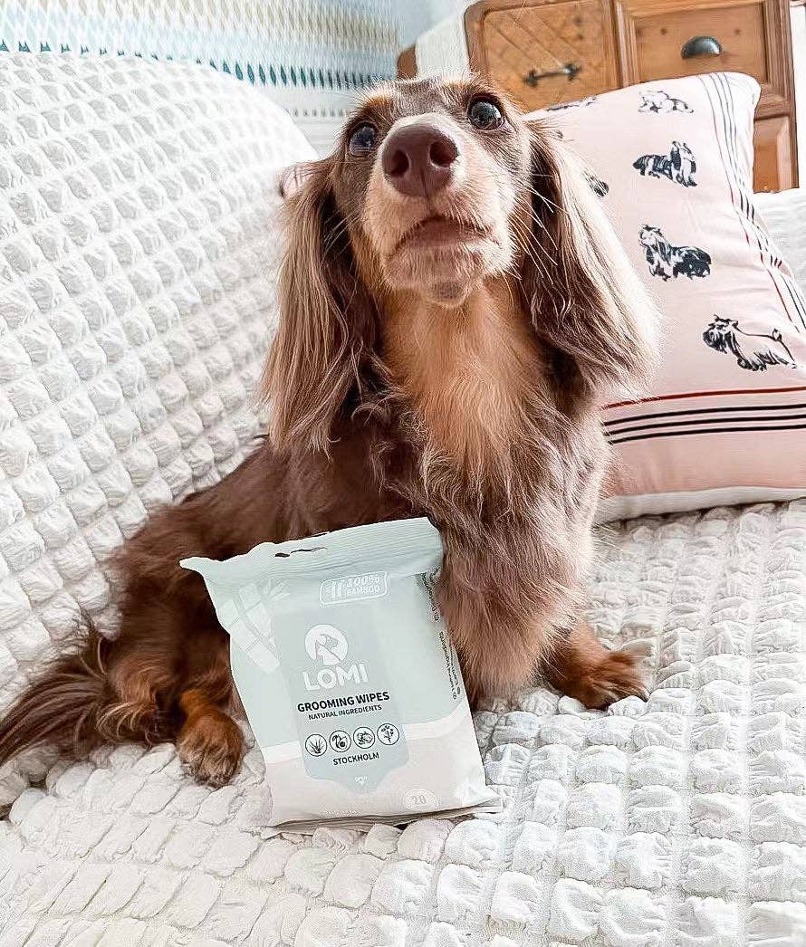 SWIPE, SHINE & GO - LINGETTES DE TOILETTAGE - PETIT FORMAT POUR TRANSPORT