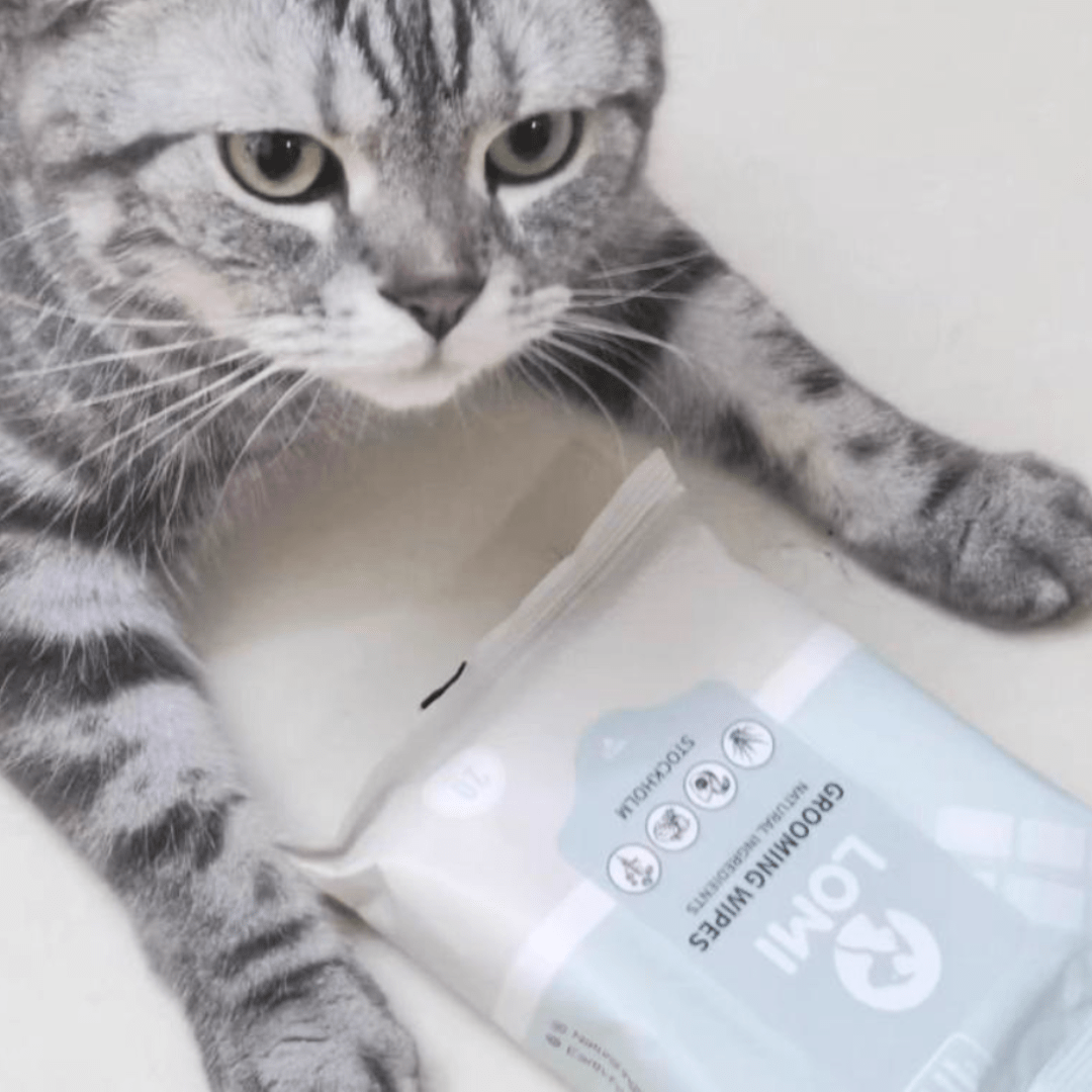 SWIPE, SHINE & GO - LINGETTES DE TOILETTAGE - PETIT FORMAT POUR TRANSPORT