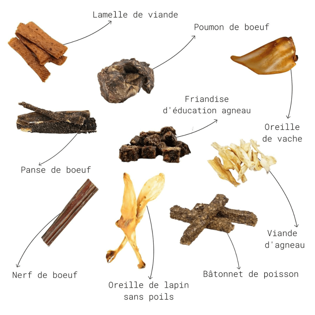 Pack friandises séchées - Mastication découverte