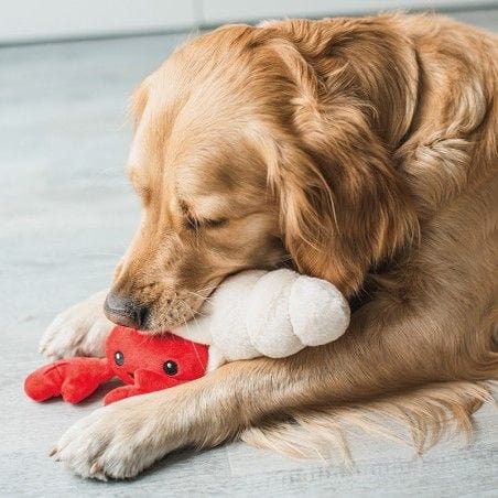 Peluche de fouille crabe et son coquillage